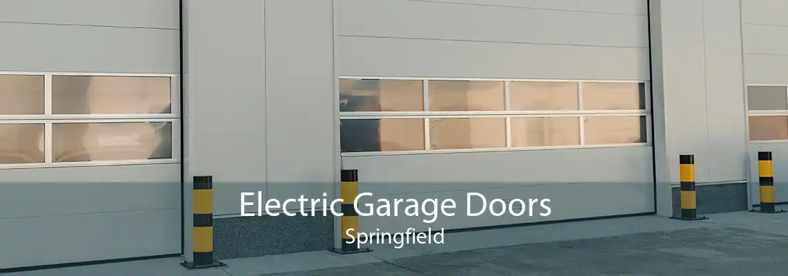 Electric Garage Doors Springfield