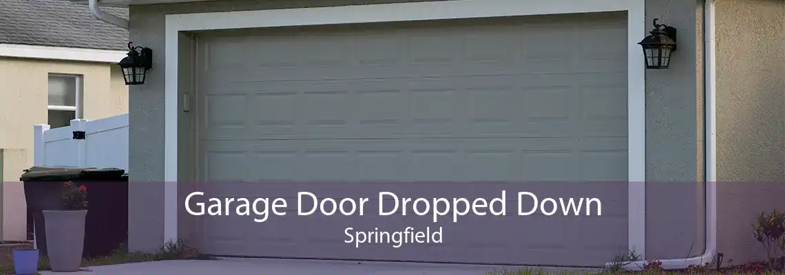 Garage Door Dropped Down Springfield