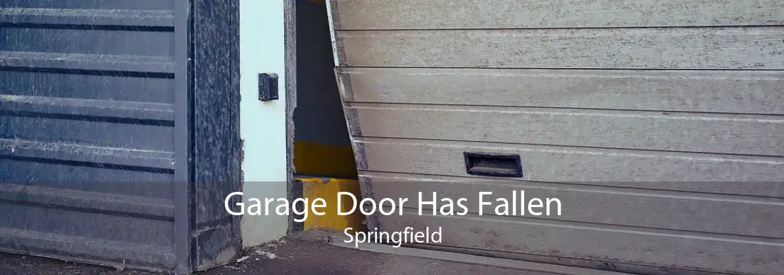 Garage Door Has Fallen Springfield