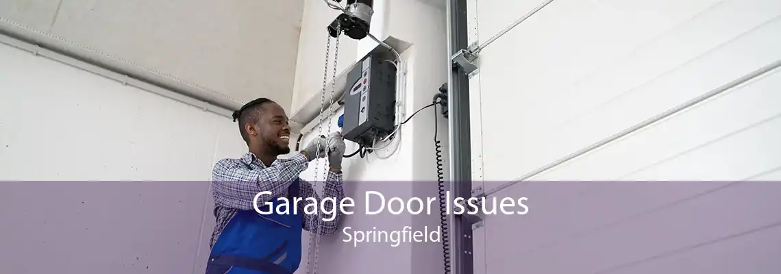 Garage Door Issues Springfield