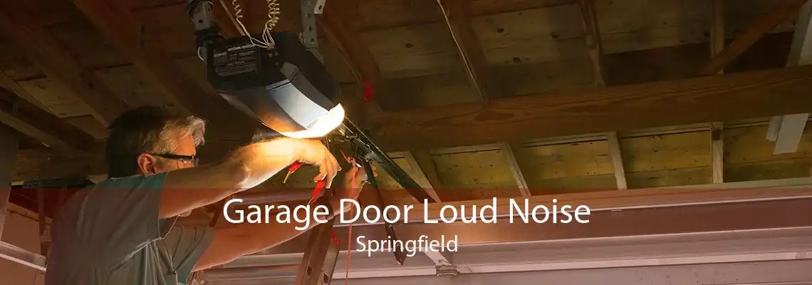 Garage Door Loud Noise Springfield