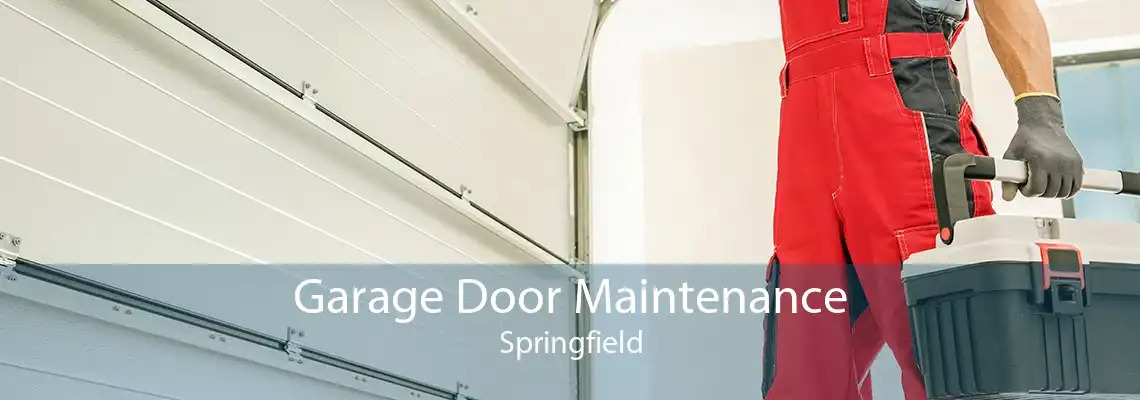 Garage Door Maintenance Springfield