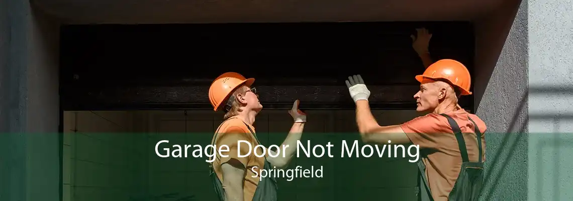 Garage Door Not Moving Springfield