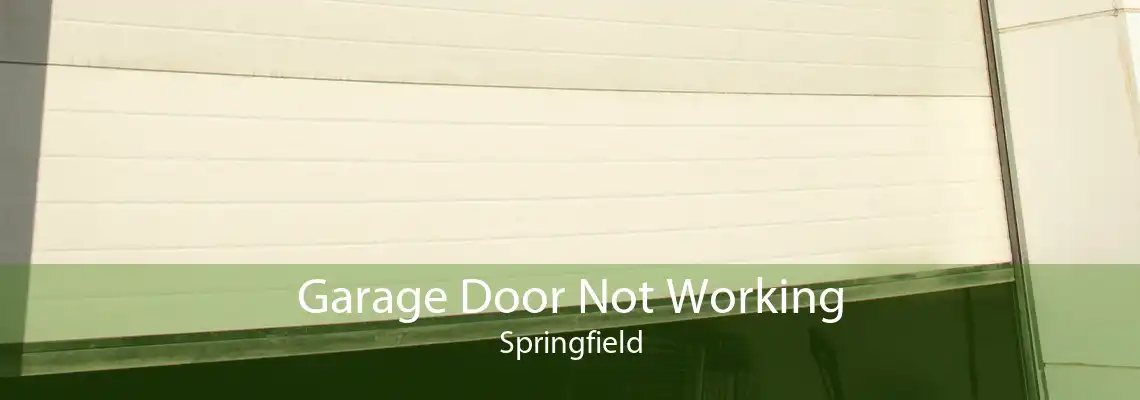 Garage Door Not Working Springfield