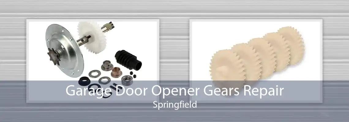 Garage Door Opener Gears Repair Springfield