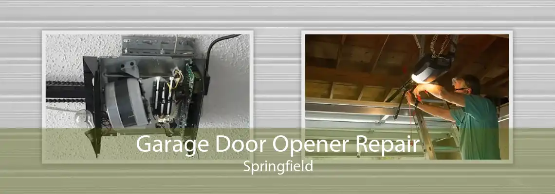 Garage Door Opener Repair Springfield