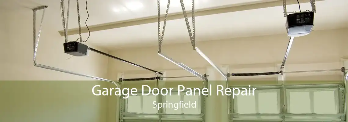 Garage Door Panel Repair Springfield