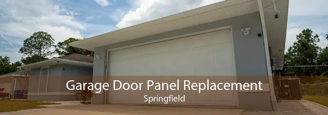 Garage Door Panel Replacement Springfield