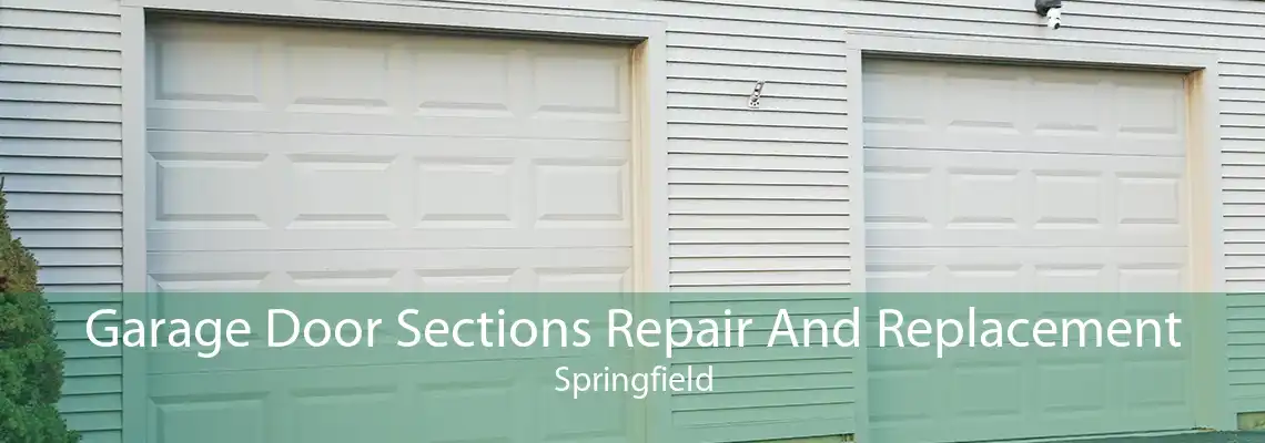 Garage Door Sections Repair And Replacement Springfield