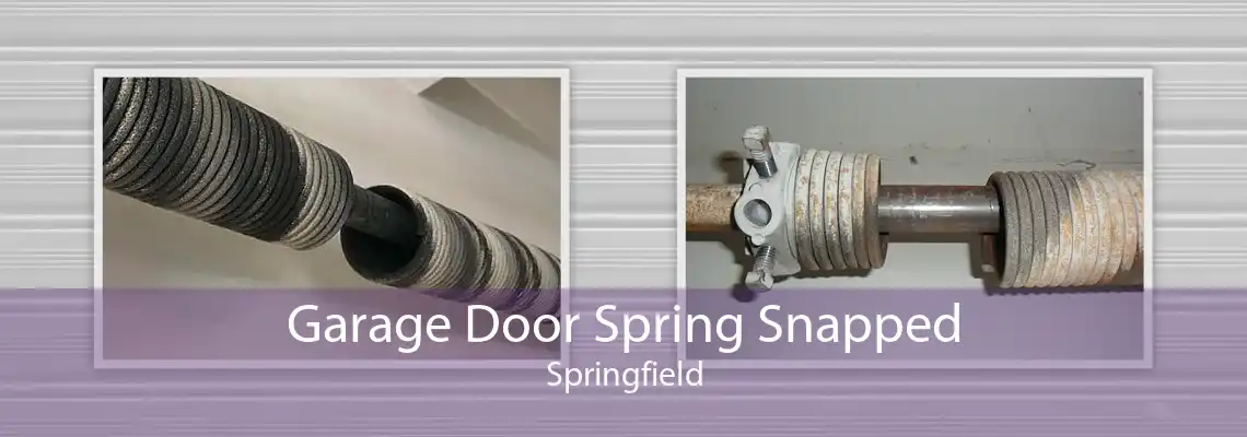 Garage Door Spring Snapped Springfield