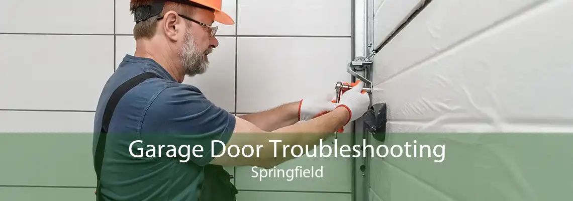 Garage Door Troubleshooting Springfield