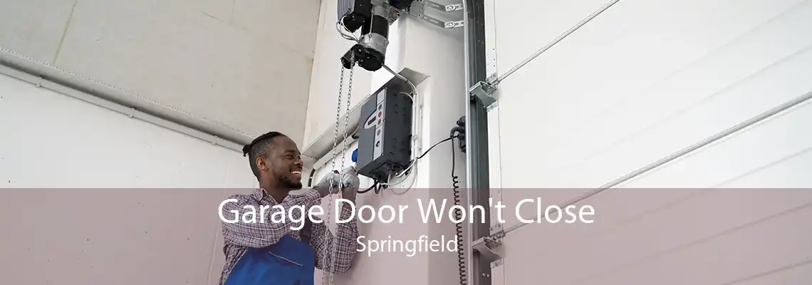 Garage Door Won't Close Springfield