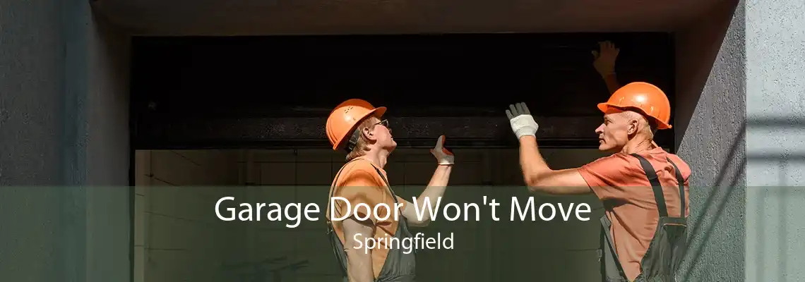 Garage Door Won't Move Springfield