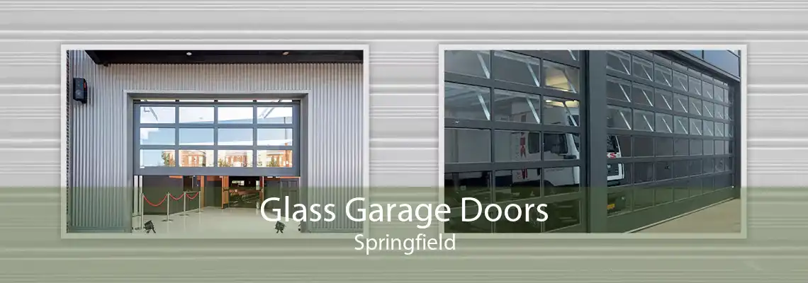 Glass Garage Doors Springfield