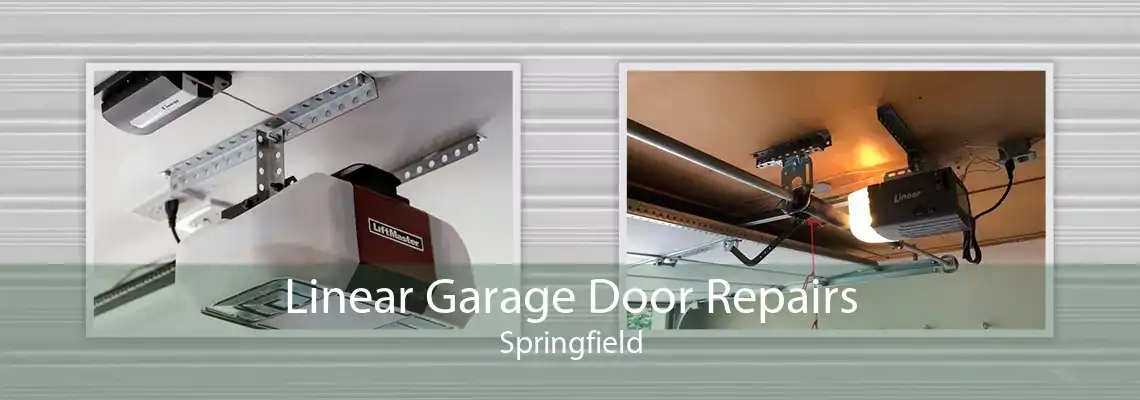 Linear Garage Door Repairs Springfield