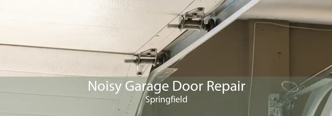 Noisy Garage Door Repair Springfield