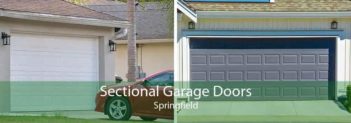 Sectional Garage Doors Springfield