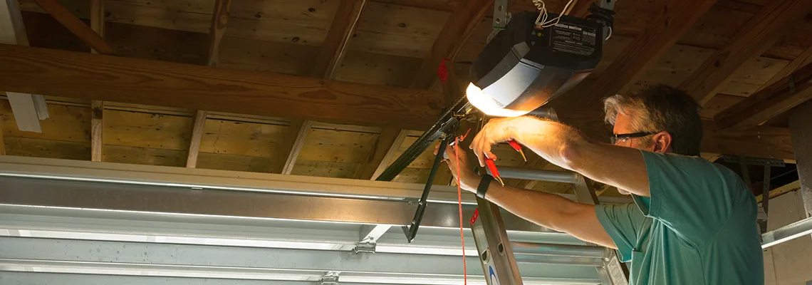 Garage Door Panel Troubleshooting in Springfield, Illinois